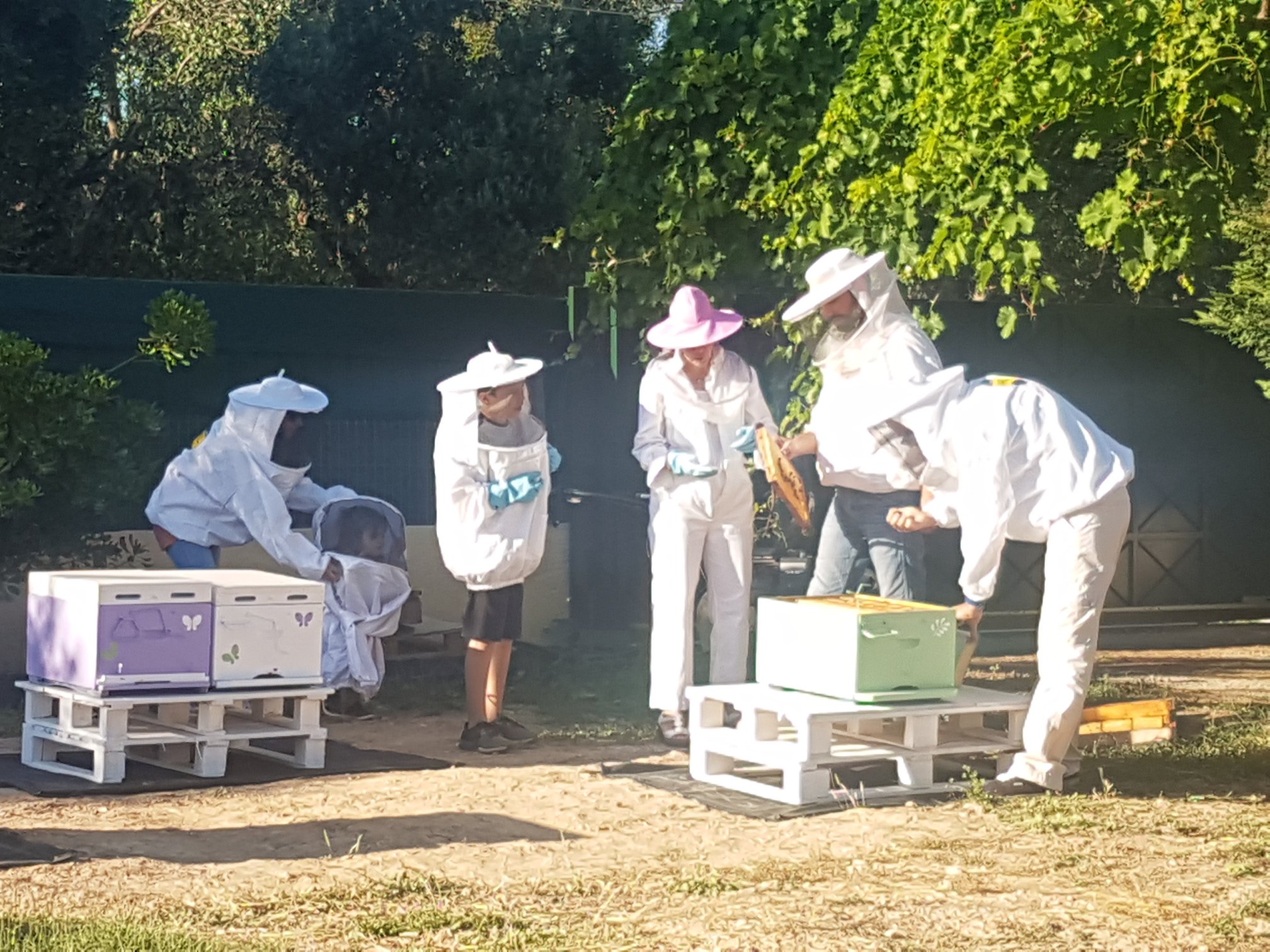 Open Farm Days 2021 | From A to Bee ΚοινΣΕπ , Παλλήνη, 26/9