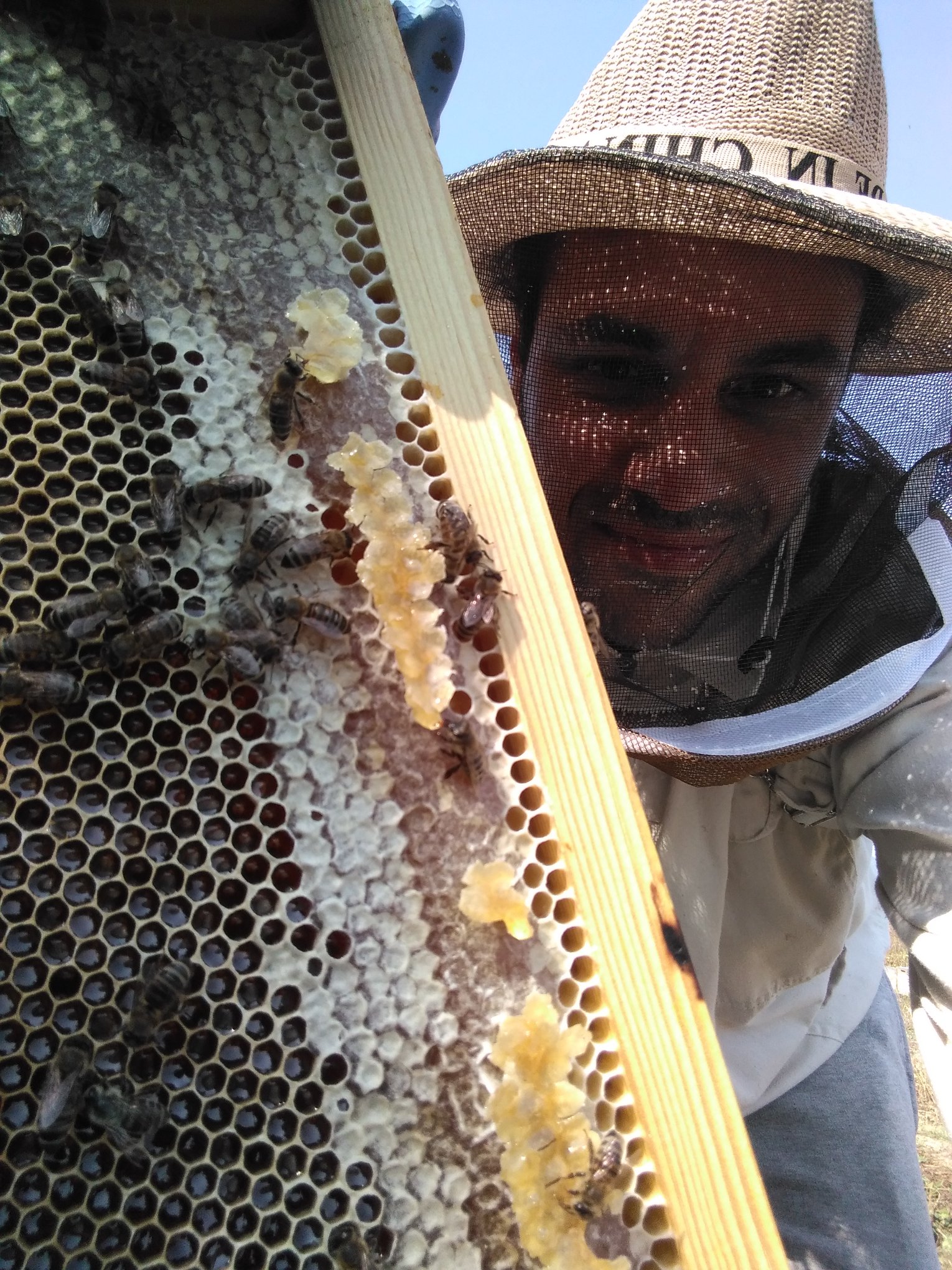 «Ακολούθησε τη μέλισσα!» Σταθμός 2ος: Μάθε για τη Μέλισσα, το πολυτιμότερο έμβιο ον στον πλανήτη, & πώς παράγονται τα βιολογικά προϊόντα της!